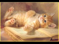 /album/pekne-obrazky/a669153-jpg/