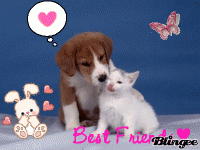 /album/pekne-obrazky/a40687301-gif/